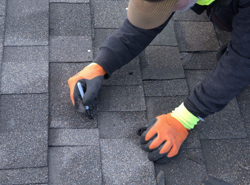 Professional Roof Repair