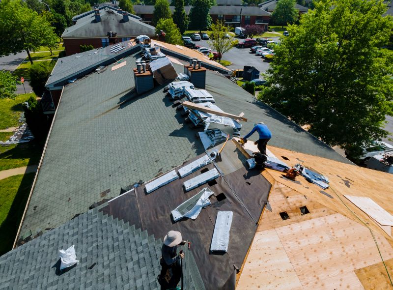 Maintenance Check on Roof
